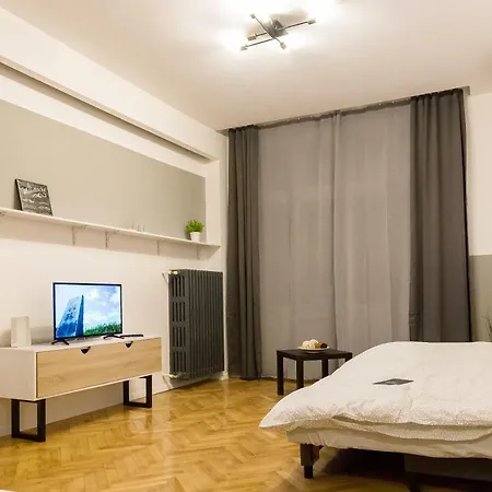 Old City Vintage Spacious Studio * בוקרשט